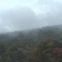 Courtesy: Nipun Ojha from Pennsylvania<br />On a very foggy day - taken by  Nipun while driving
