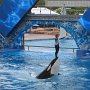 Courtesy: Meena & Mahendra from NJ<br />Having fun at Sea World, Orlando